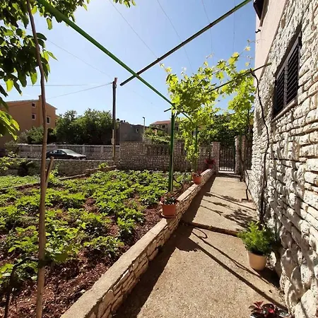 Izabela Muzic-fornaric Cres