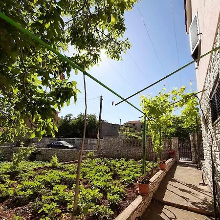 Izabela Muzic-fornaric