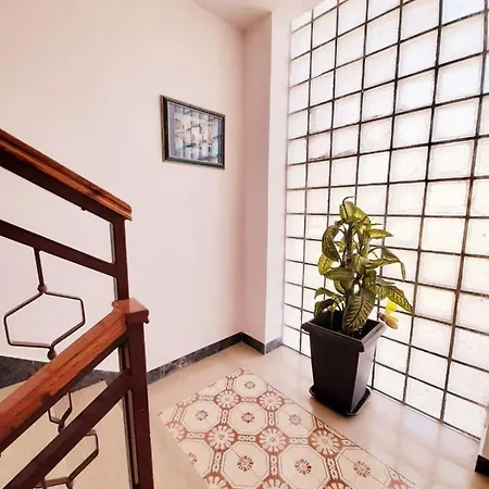 Izabela Muzic-fornaric