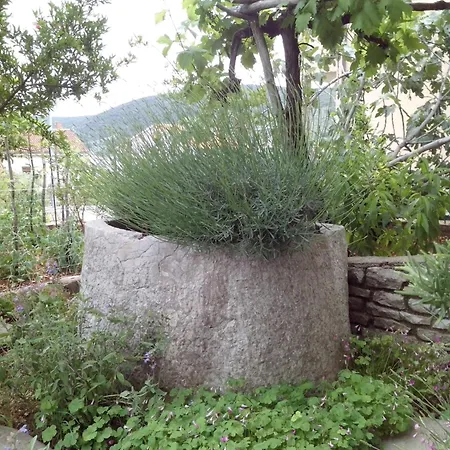 Izabela Muzic-fornaric * Cres