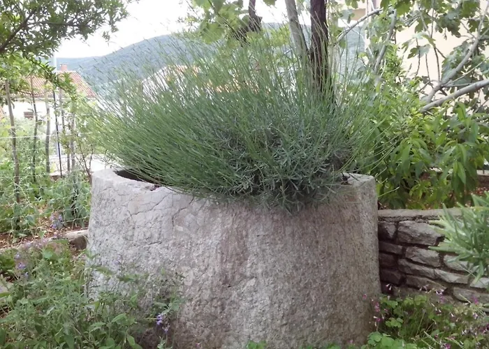 Izabela Muzic-fornaric * Cres