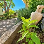 Izabela Muzic-fornaric Apartament Cres