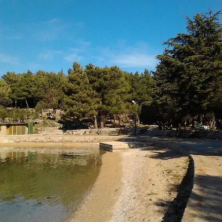 Izabela Muzic-fornaric *